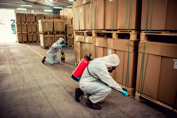 Professional Pest Control in Derwood, MD