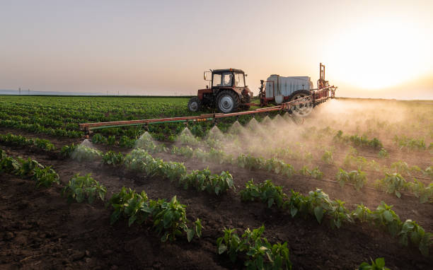 Best Mosquito Control Services  in Derwood, MD