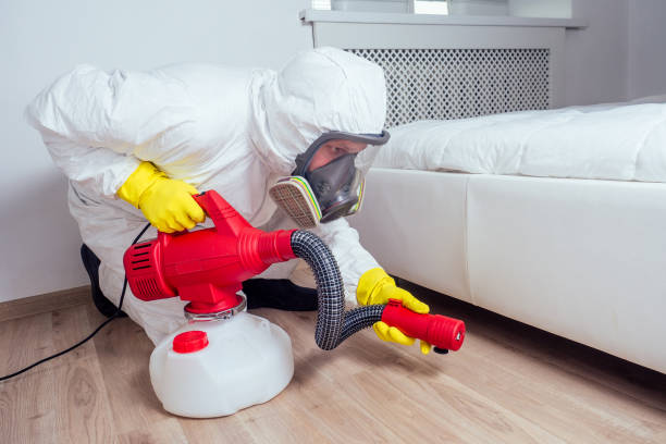 Best Pest Control Near Me  in Derwood, MD