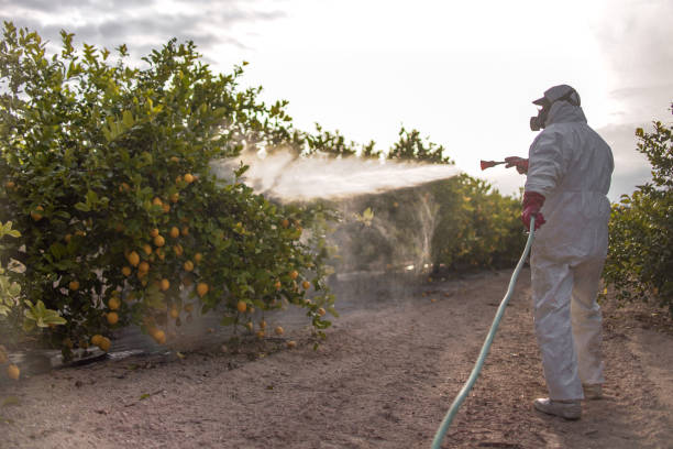 Best Best Pest Control Companies  in Derwood, MD