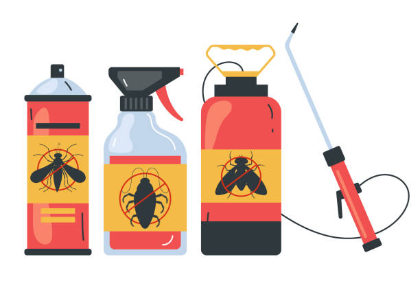Flea Control Services in Derwood, MD