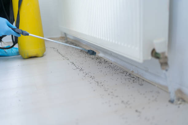 Best Pest Removal Services  in Derwood, MD
